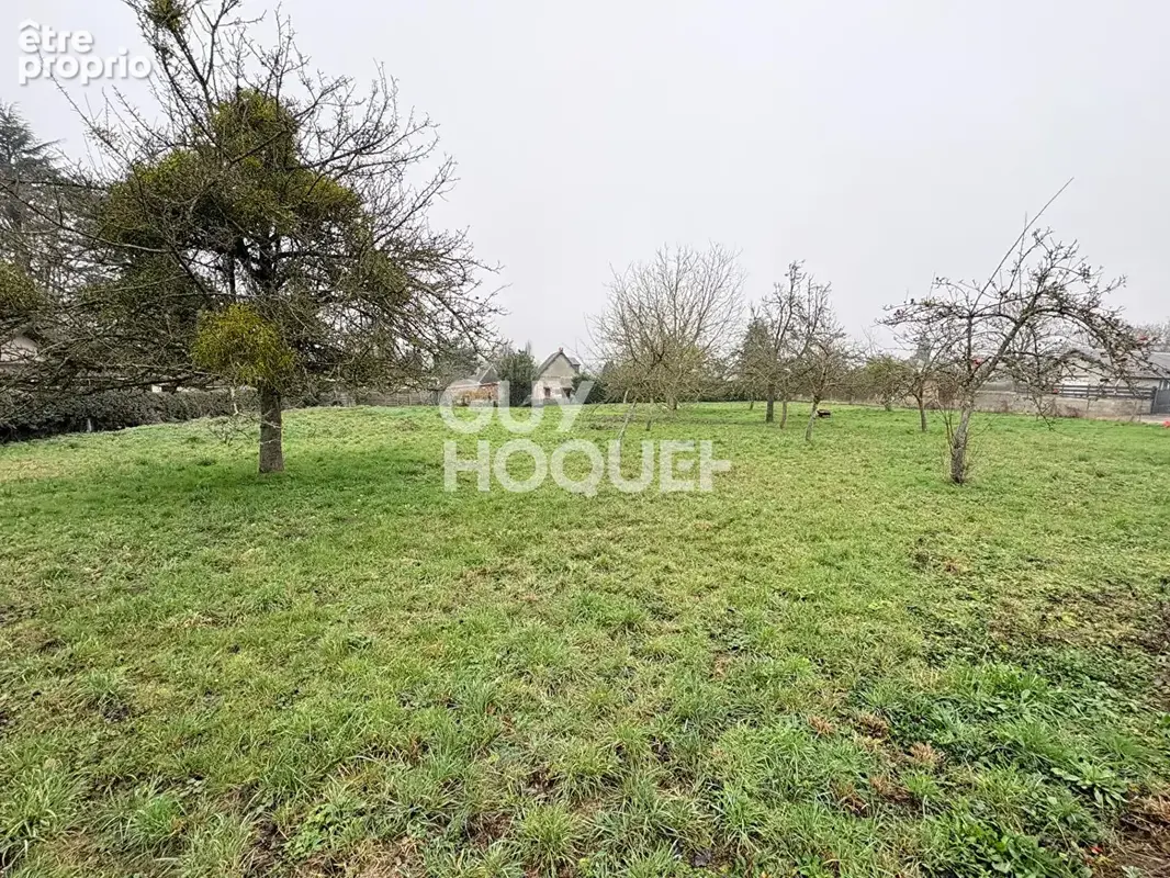 Terrain a batir - 1 152 m²  - non viabilisé - photo 4