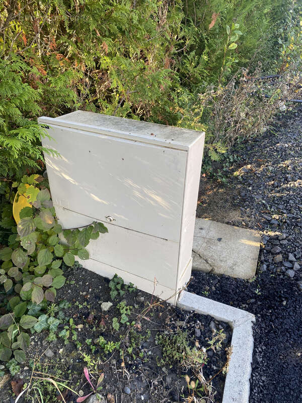 Terrain à LA ROCHE-BLANCHE