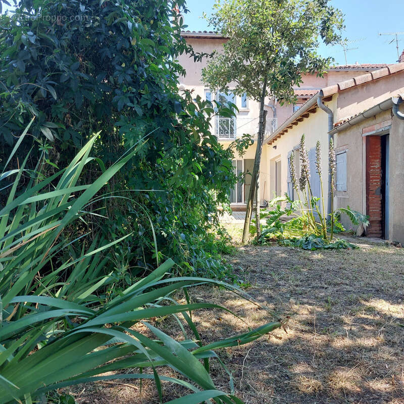 Maison à vendre 9 pièces MONTAUBAN (82) avec jardin et dépendance - photo 10