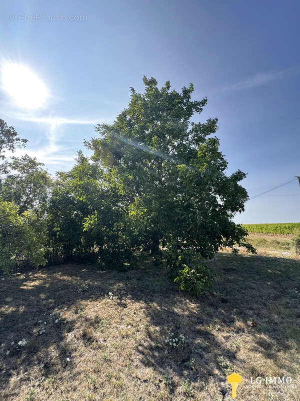 Maison de plain-pied au milieu de son jardin arboré d'arbres fruitiers avec grange de 346 m2 - photo 29