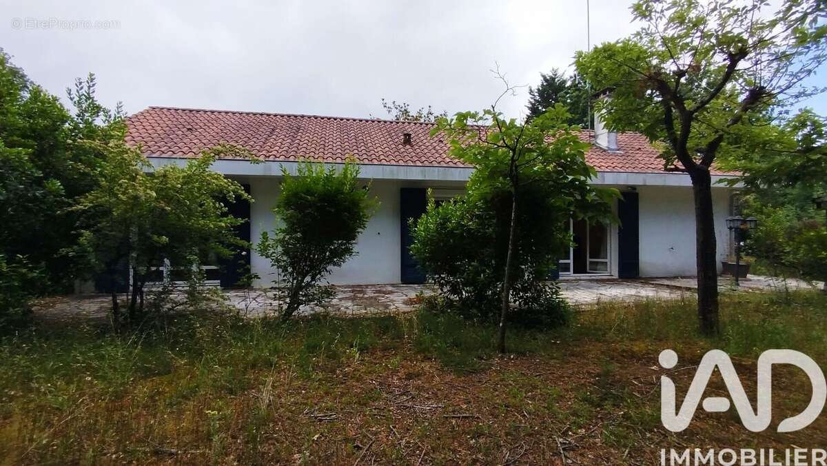 Photo 2 - Maison à LE TAILLAN-MEDOC