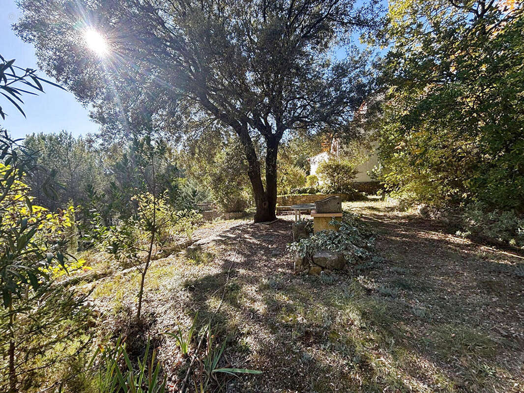 Sur une parcelle de 4000 m2 - - photo 15