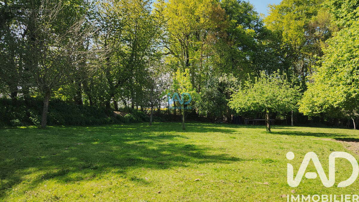 Photo 1 - Autre à FAUVILLE-EN-CAUX