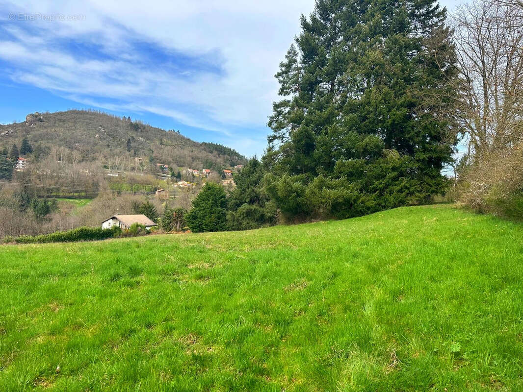 Terrain à AUREC-SUR-LOIRE