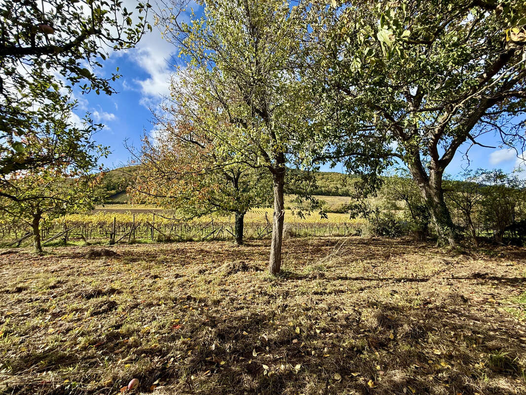Terrain à CHATENOIS