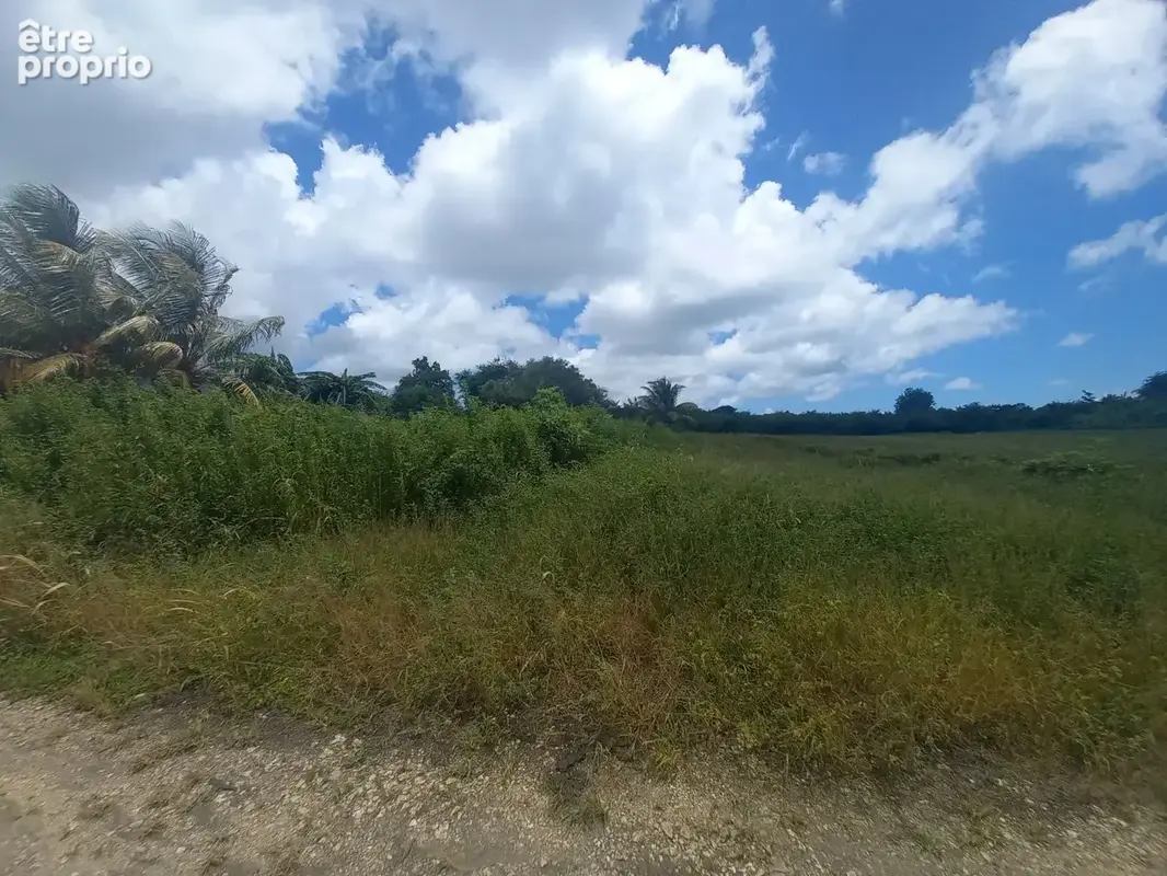 TERRAIN- Saint-François - photo 1