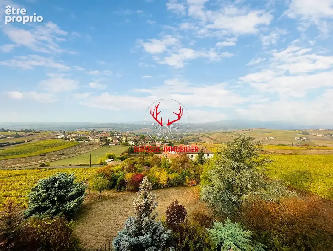 VAL D'OINGT (69620)  Belle Propriété Familiale avec Espace Indépendant 87 m² pour activité Libérale et Gîte de 62 m², sur 2 400  - photo 6