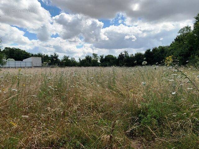 Terrain à VERINES