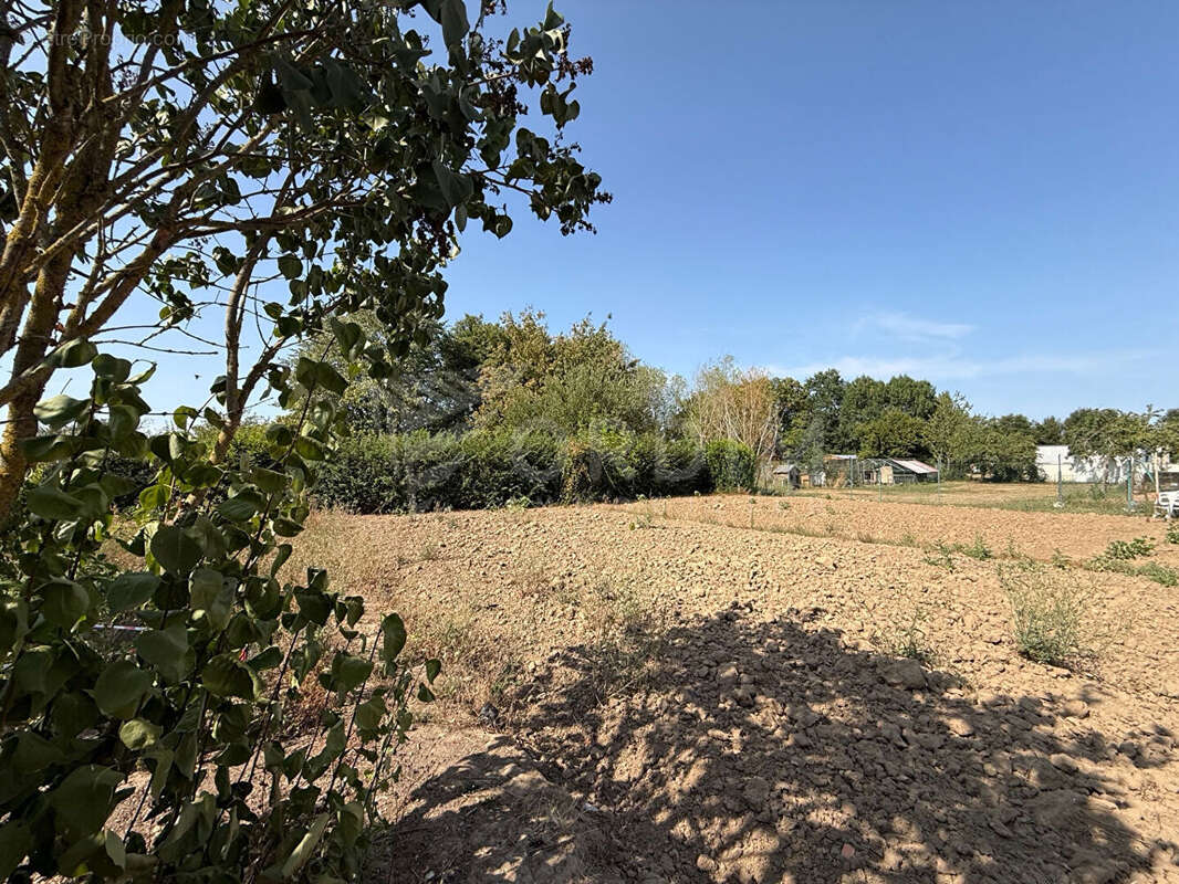 Beaulieu-sur-Loire, charmante maison à rénover avec dépendances - photo 4