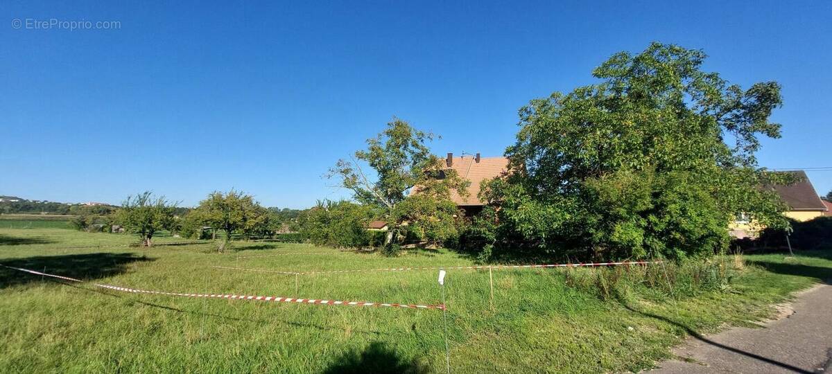 Photo 1 - Terrain à DORLISHEIM