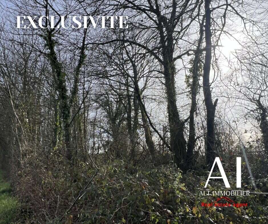 Terrain à LA LANDE-DE-LOUGE