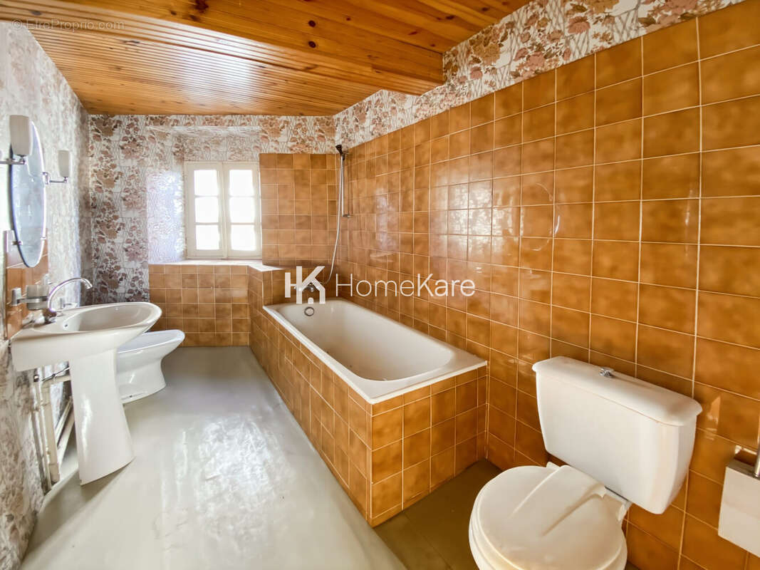 Maison à SALIES-DU-SALAT