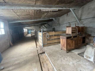 Ancien corps de ferme - TANUS - photo 19