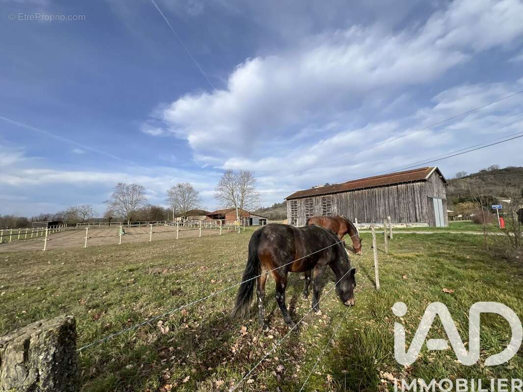 Photo 7 - Maison à LAMAGISTERE