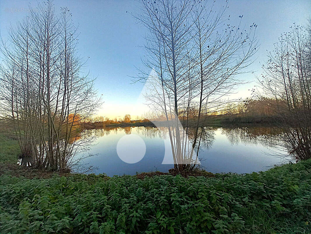 Terrain à BERLAIMONT