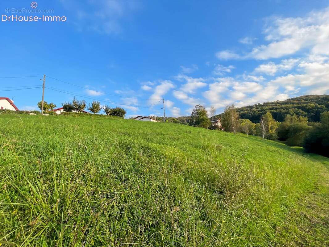 Terrain à HASPARREN