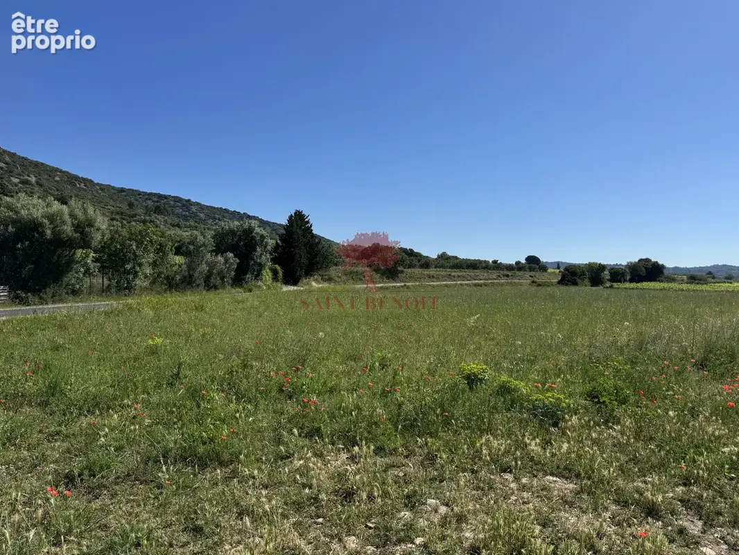 Aniane vente mazet agricole - photo 2