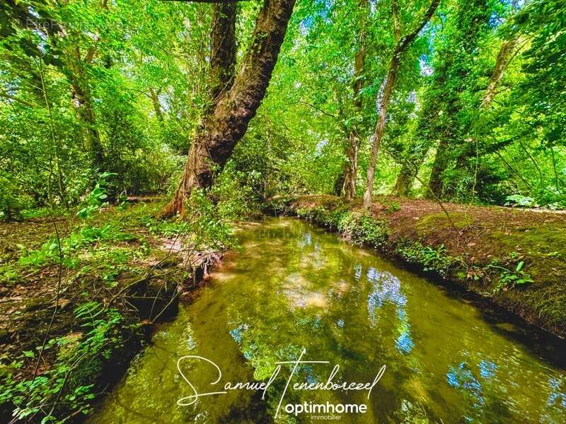 Maison à CROISSANVILLE