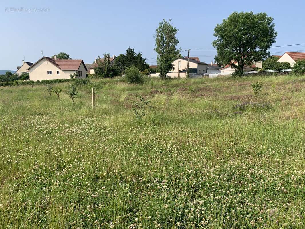 Terrain à PRENOIS