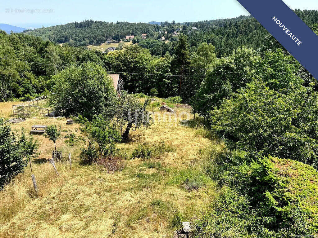 Elégante maison avec deux appartements et une grange - photo 14