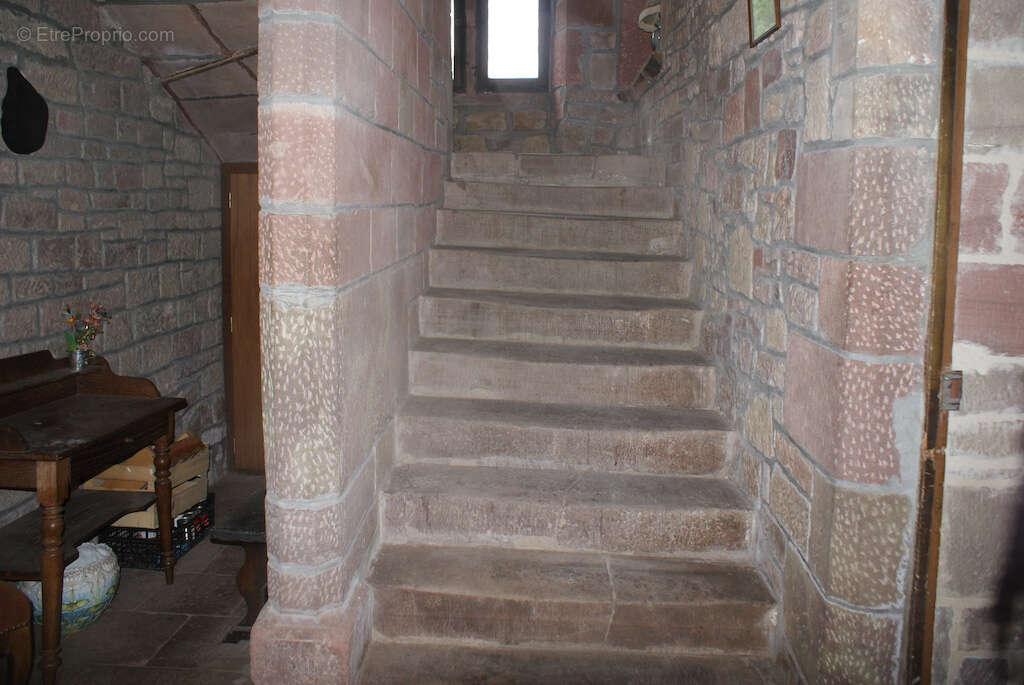 Maison à COLLONGES-LA-ROUGE