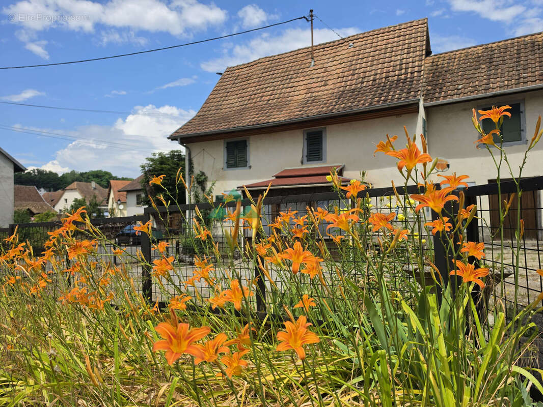 Maison/Ferme à rénover sur 42 ares - photo 2
