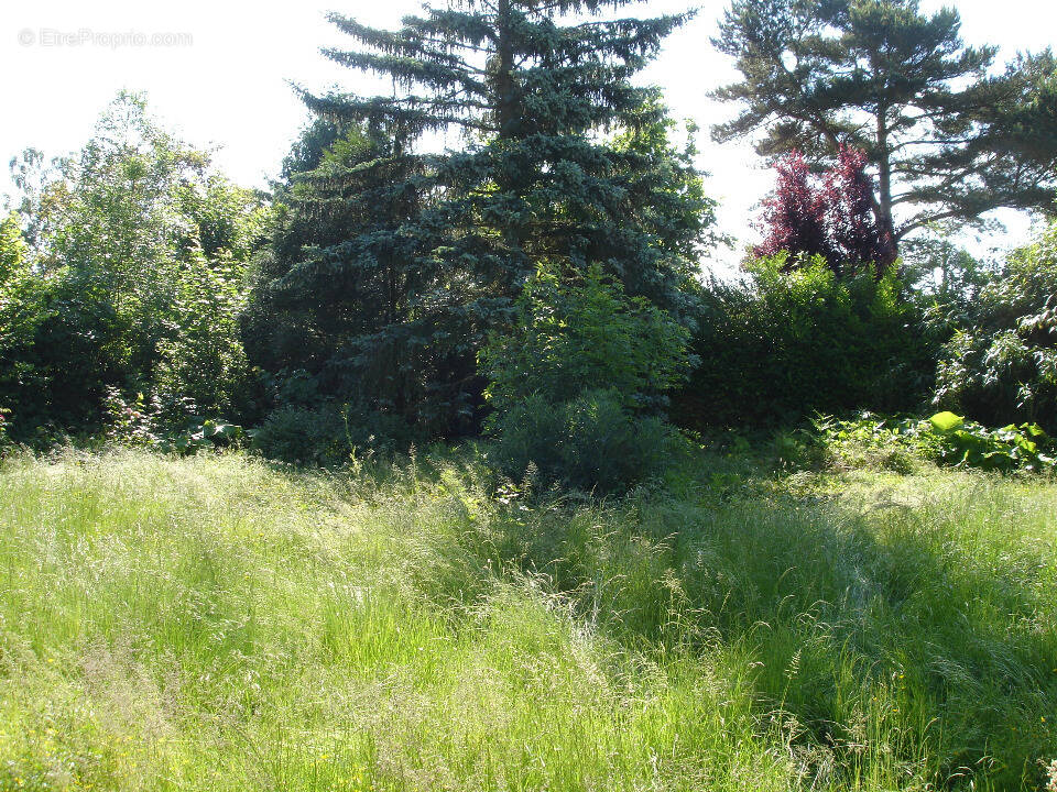 Terrain à BETON-BAZOCHES