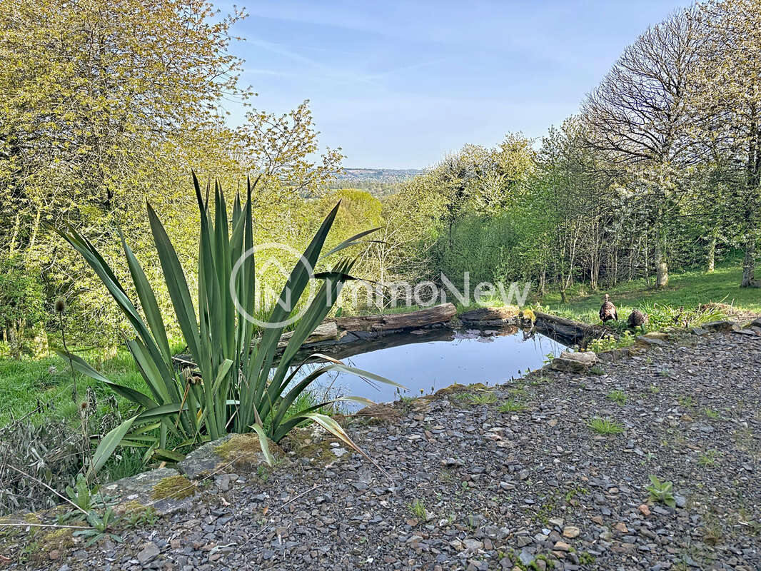 Belle maison pierre annees 1700  de 190 m2 environ sur terrain 1,8 hectare environ - photo 2