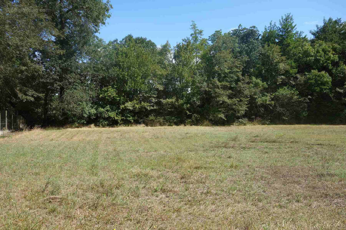 Terrain à SAINT-PAUL