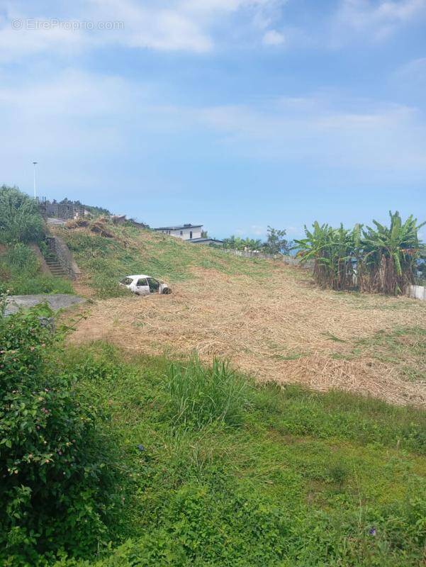 Terrain à SAINT-LEU