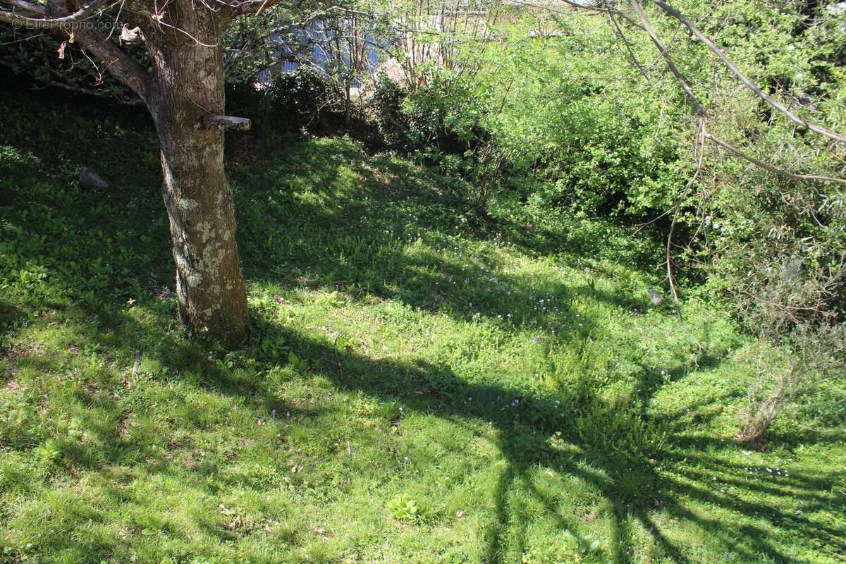 Maison à BAGNERES-DE-BIGORRE