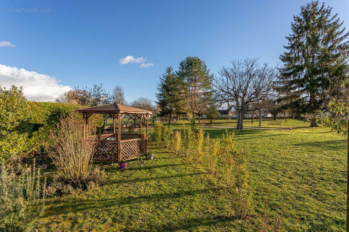 Maison à SELLES-SUR-CHER