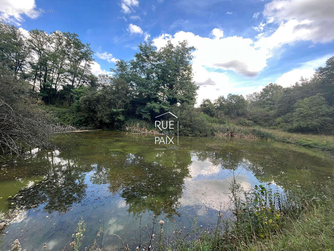 Terrain de loisirs Naintre 11433 m2 - photo 3