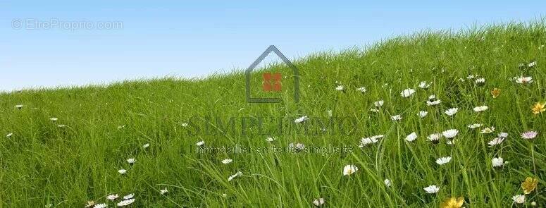 Terrain à MESCHERS-SUR-GIRONDE