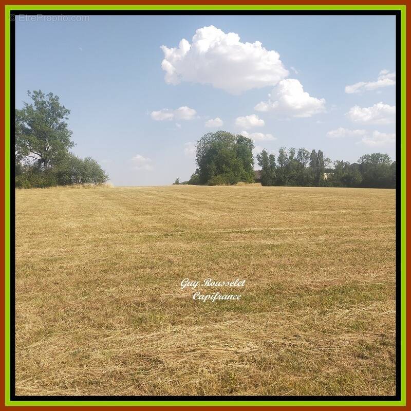 Terrain à SEMUR-EN-AUXOIS
