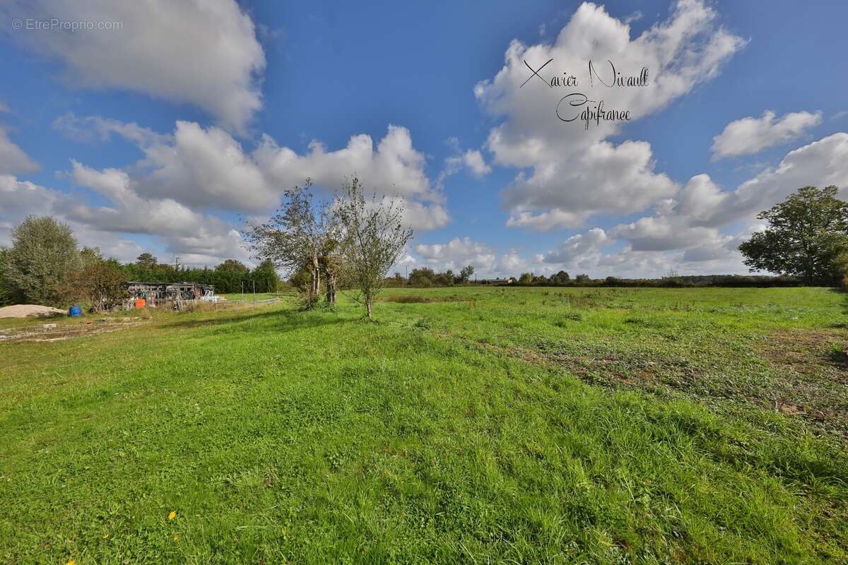 Maison à vendre 8 pièces proche de MANTENAY MONTLIN (01) - photo 16