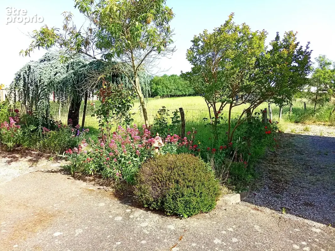 Maison 4 pièces 73 m² à vendre à La Roche-Blanche (44522) - photo 2
