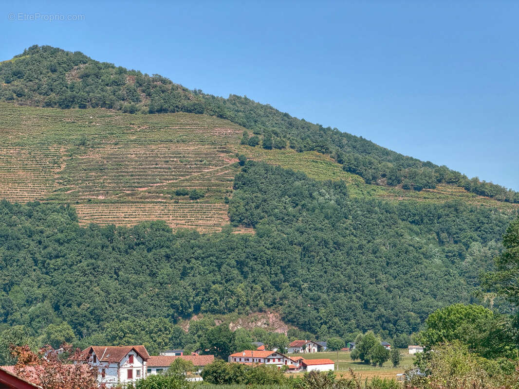 Magnifique maison à 3 minutes de Saint Jean Pied de Port - photo 4