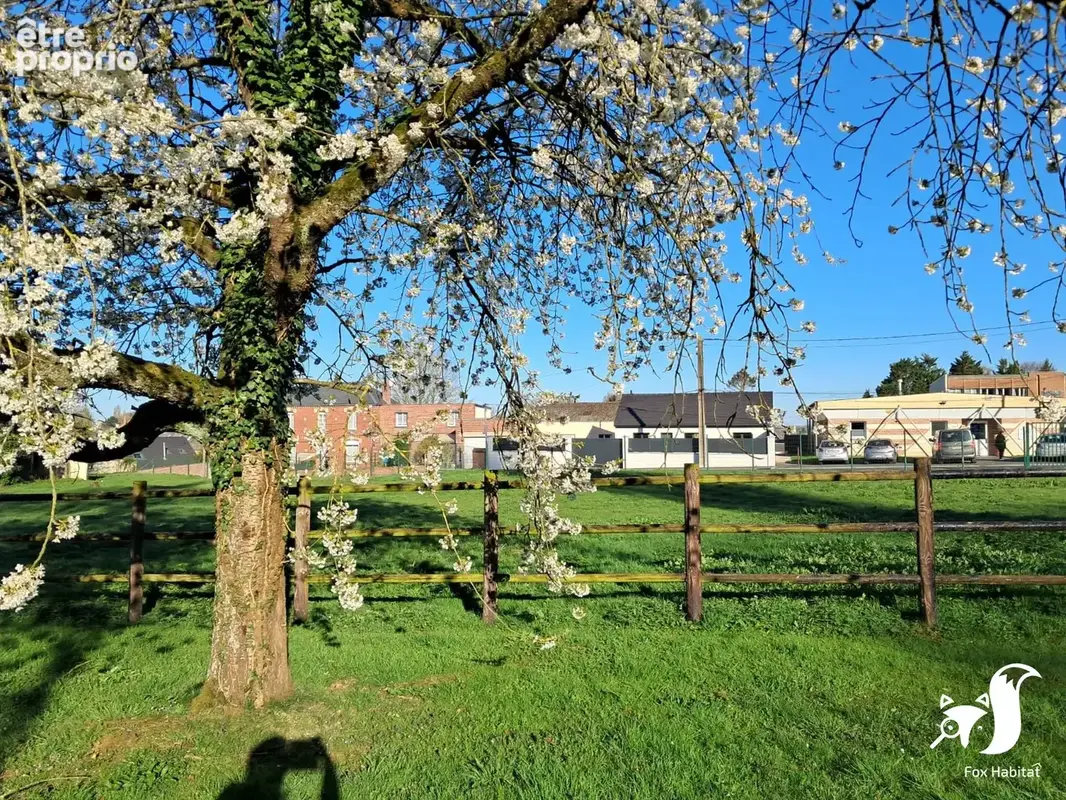Terrain 850 m² à vendre à Walincourt-Selvigny (59127) - photo 2