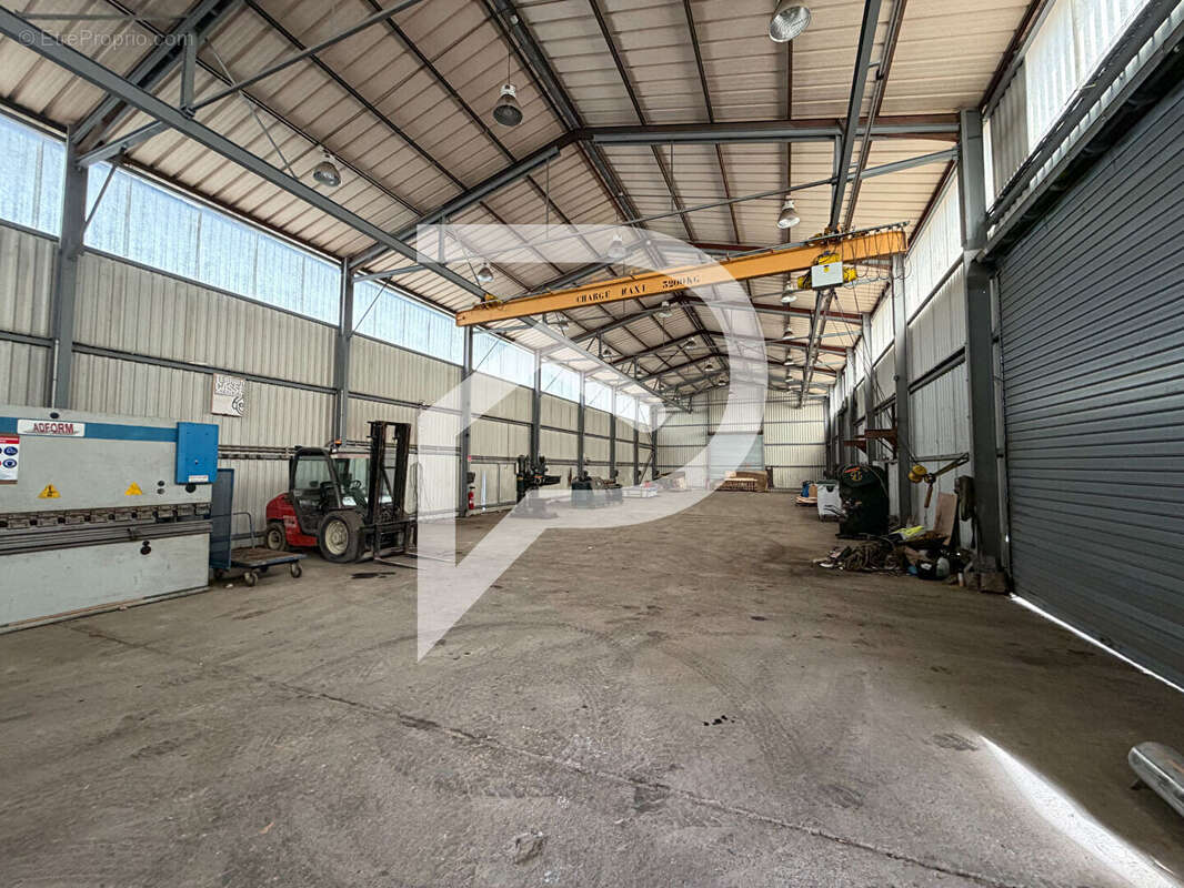 Hangar industriel LACQ 880 m² - photo 2