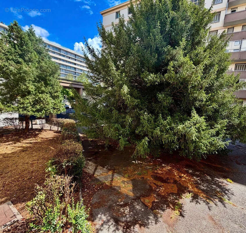 Grenoble Vallier Catane beau T3 57 m2 - photo 8
