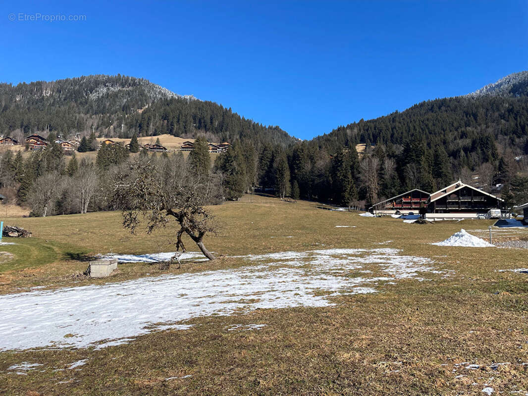 Terrain à LA CHAPELLE-D'ABONDANCE