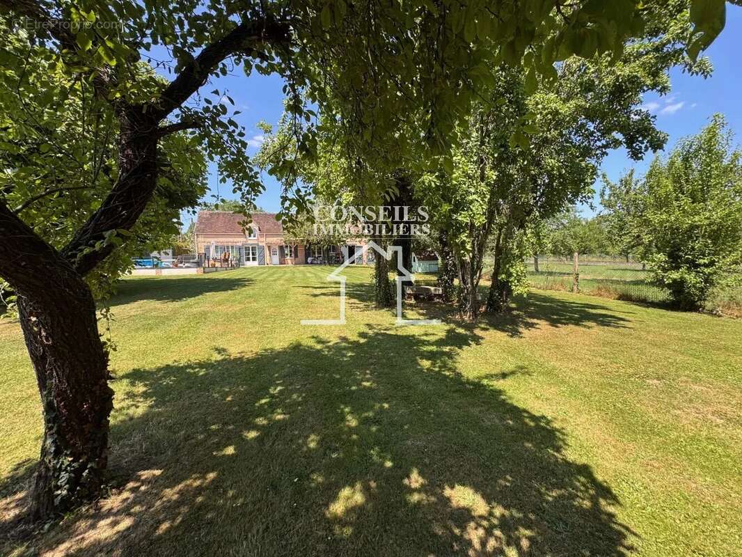 Maison à VILLENEUVE-SUR-YONNE