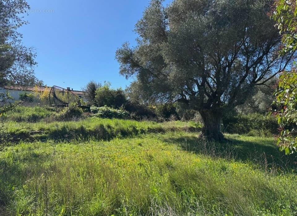 Terrain à LE CASTELLET