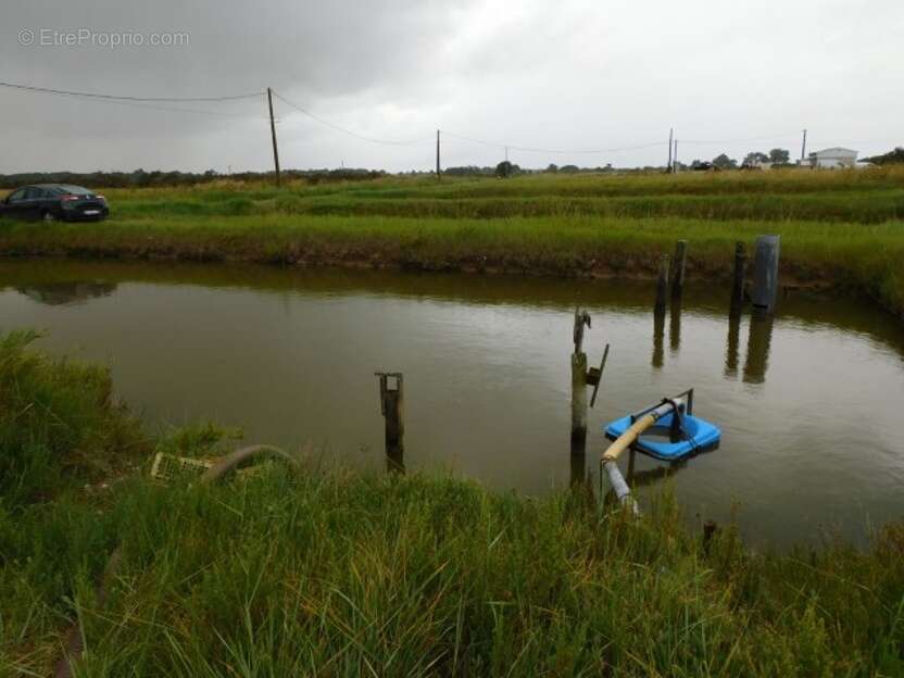 Commerce à DOLUS-D'OLERON