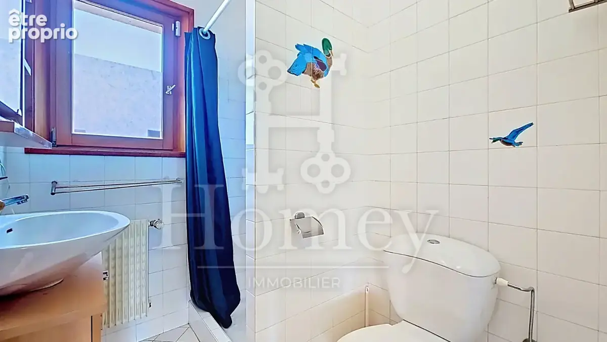 VIRY MALAGNY - Maison T7 312m2 Utiles - Logement T2 Indépendant - 400m Frontière Suisse - Terrain 1070m2 Pisci - photo 16