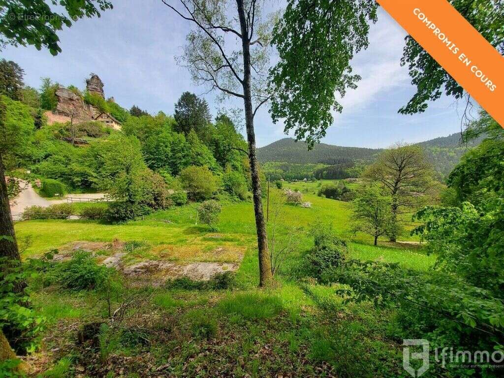 Terrain à WINDSTEIN