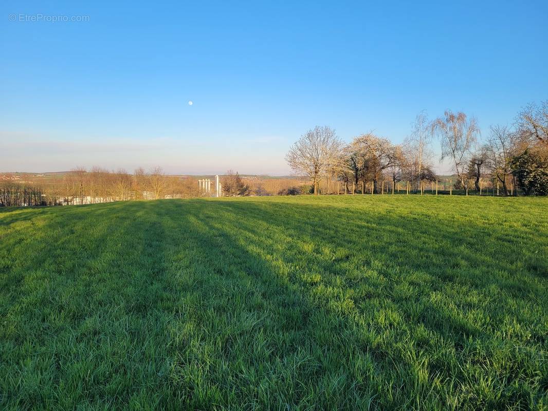 Terrain à MARMOUTIER