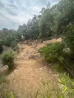 Terrain constructible avec permis - photo 5