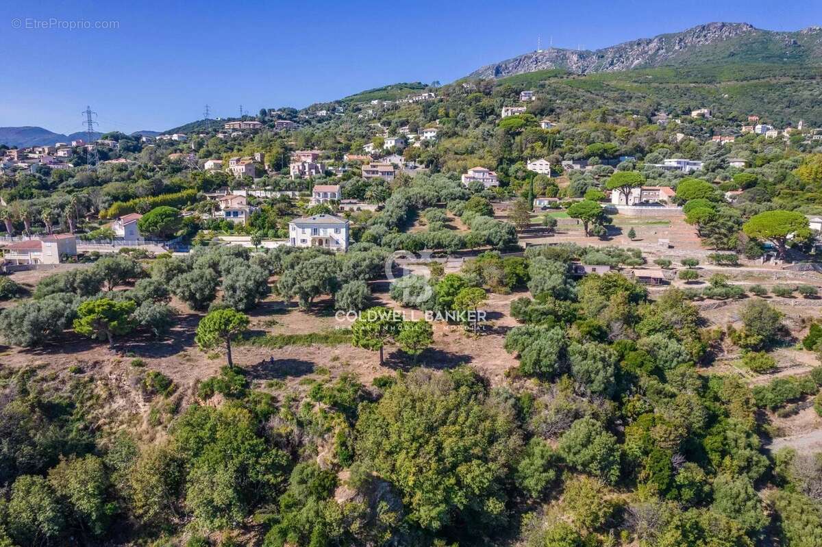 Terrain à SAN-MARTINO-DI-LOTA